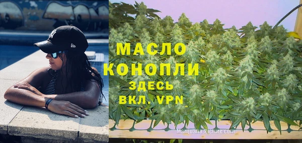 молекула духа Мегион
