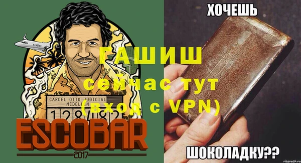 молекула духа Мегион