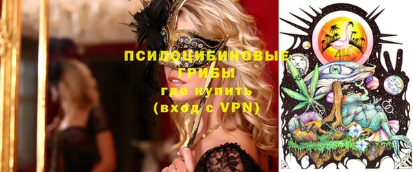 дмт Медвежьегорск