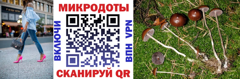как найти   мориарти как зайти  Галлюциногенные грибы ЛСД  Черногорск  blacksprut ТОР 